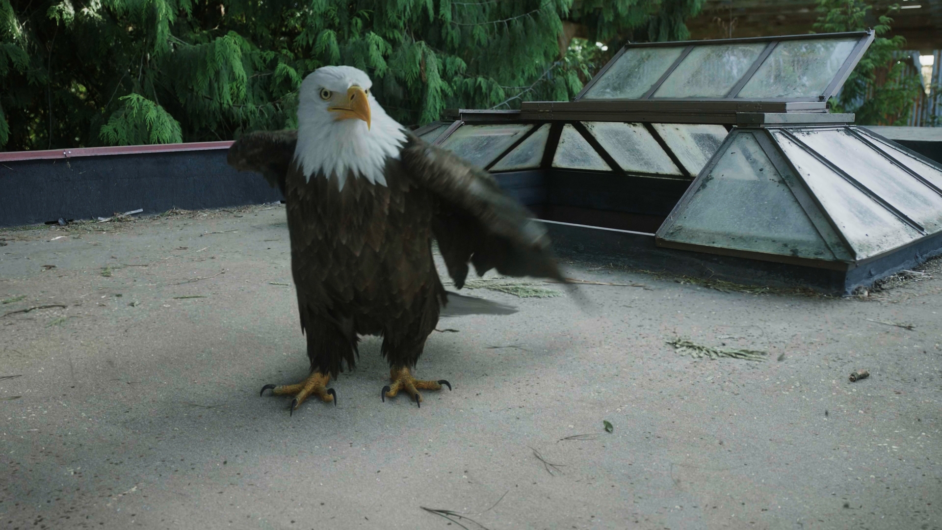 Still 2025 11 01 161911 1.6.4